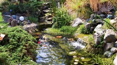 Landscapes nature Trees Garden