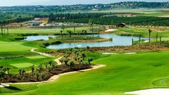 Landscapes nature Trees golf Golf Course