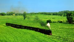 Landscapes nature Trees grass
