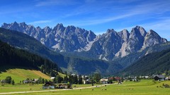 Landscapes nature Trees grass Animals Mountains summer Green 