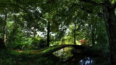 Landscapes nature Trees grass bench Garden Bridges forests ponds