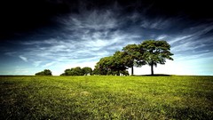 Landscapes nature Trees grass black blue clouds Green skyscapes