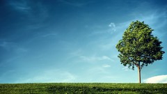 Landscapes nature Trees grass clouds digital art skyscapes 3D 