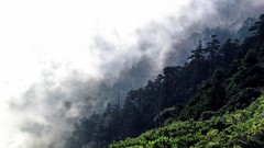 Landscapes nature Trees grass clouds hills mist hillside forests