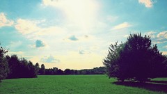 Landscapes nature Trees grass clouds meadows fields skyscapes