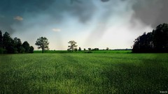 Landscapes nature Trees grass clouds sign