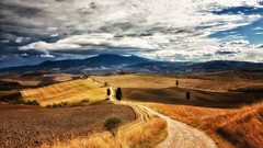 Landscapes nature Trees grass clouds sky hills Italy paths 