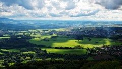 Landscapes nature Trees grass clouds white Green germany 