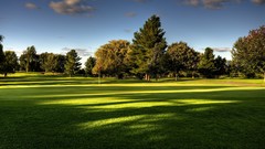 Landscapes nature Trees grass golf