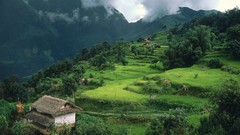 Landscapes nature Trees grass gray Mountains clouds Green 