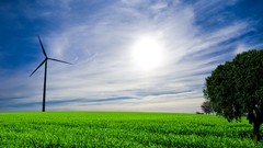Landscapes nature Trees grass Green blue skies