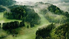 Landscapes nature Trees grass hills Green houses mist woods 