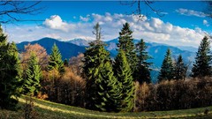 Landscapes nature Trees grass Mountains clouds white Green 