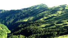 Landscapes nature Trees grass Mountains hills hillside forests