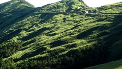 Landscapes nature Trees grass Mountains hills hillside forests