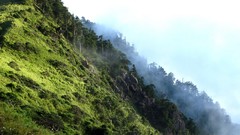 Landscapes nature Trees grass Mountains hills rocks mist