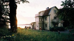 Landscapes nature Trees grass running houses running away