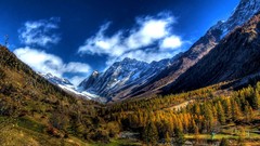 Landscapes nature Trees grass snow Mountains clouds switzerland 
