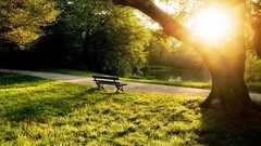 Landscapes nature Trees grass water bench Parks paths sunlight 