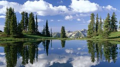 Landscapes nature Trees grass water clouds lakes reflections 