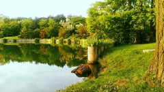 Landscapes nature Trees grass water Green log Wood lakes vienna 