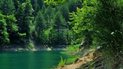 Landscapes nature Trees grass water Green Turquoise lakes 