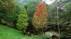 Landscapes nature Trees grass water Mountains autumn Park path