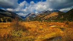 Landscapes nature Trees grass water Mountains clouds gold 