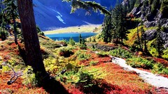 Landscapes nature Trees grass water Mountains lakes baker 