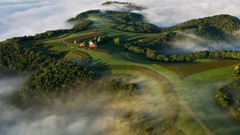 Landscapes nature Trees grass white Green Wisconsin roads 