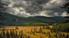 Landscapes nature Trees grass yellow clouds hills Green Montana 