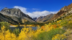 Landscapes nature Trees grass yellow water blue Mountains 