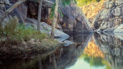 Landscapes nature Trees grass yellow water Mountains Green calm 