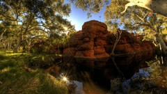 Landscapes nature Trees grass yellow water red Green lagoon 