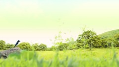 Landscapes nature Trees Green Birds fields