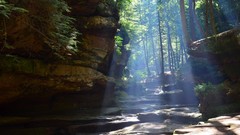 Landscapes nature Trees Green caves forests light rays