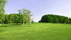 Landscapes nature Trees Green fields