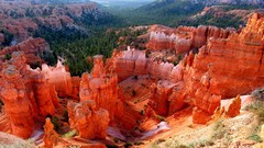 Landscapes nature Trees Green orange Utah cliffs rocks national 