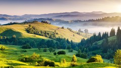 Landscapes nature Trees Green outdoors