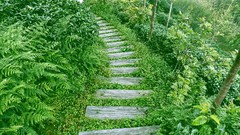 Landscapes nature Trees Green Plants Garden roads paths