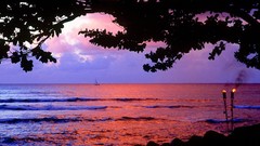 Landscapes nature Trees Hawaii reflections