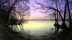 Landscapes nature Trees HDR