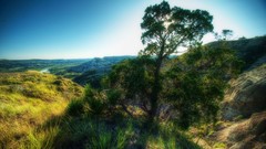 Landscapes nature Trees hills