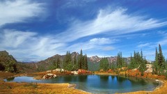 Landscapes nature Trees hills