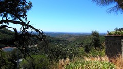 Landscapes nature Trees hills branches Portugal forests blue 