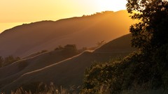 Landscapes nature Trees hills California silhouettes sunlight