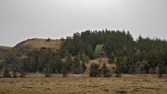 Landscapes nature Trees hills fields