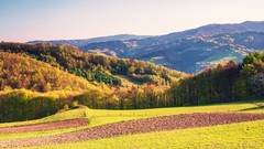 Landscapes nature Trees hills fields sunlight