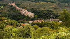 Landscapes nature Trees hills foliage Green Italy Pinocchio 