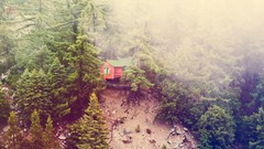 Landscapes nature Trees hills houses forests pine trees